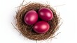 © drdigitaldesign - Top View of burgundy Eggs in a Nest on a white Background. Easter Template with Copy Space
