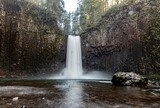 Fototapeta Dmuchawce - waterfall in the woods