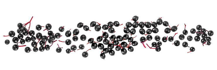 Wall Mural - Healing berries of black Sambucus isolated on a white background, top view. European black elderberry.