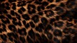 © Jafree - Trendy leopard fur texture. Golden fur and black spots. Natural animal furry background. Concept is Softness, Comfort and Luxury. Can be used as Backdrop, Fashion, Textile, Interior Design, Trendy