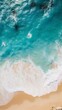 © cac_tus - Aerial View of a Serene Beach and Ocean