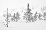 Fototapeta  - Zima w górach