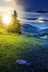 Wall Mural - fir tree on the meadow with green grass and stone on the edge of mountain slope with sun and moon at