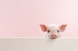 Happy cute mini pig isolated on pink background. Happy funny piglet. Exotic domestic pet. Vegan and vegetarian concept. Animal health, love of nature