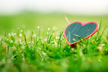 Wall Mural - Spring grass with bokeh and heart figure