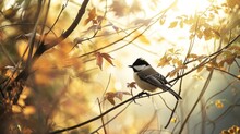  A Bird Perched On A Tree Branch In A Tree With Yellow Leaves In The Foreground And The Sun Shining Through The Leaves In The Background.
