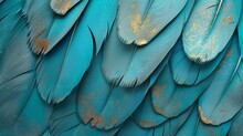 Blue And Turquoise Feathered 3D Wallpaper, Enriched With Scratched Gold Highlights And Oak, Nut Wood Wicker Textures, Photography, Detailed Surface,