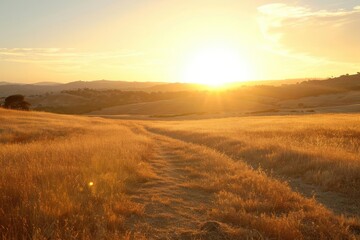 Wall Mural - Golden hour sunlight casting shadows on a peaceful landscape