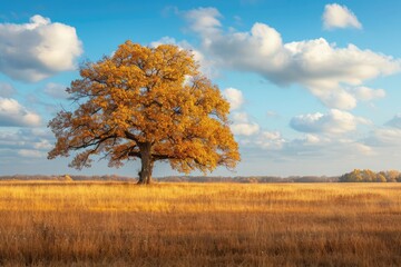 Wall Mural - Majestic oak tree in a golden autumn landscape