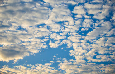 Wall Mural - blue sky background with tiny cloudsuse as background or wallpaper