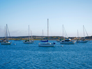 Boats in the Harbor 