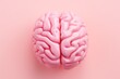 Close up of a pink background featuring a human brain model symbolizing neurosurgery and healthcare