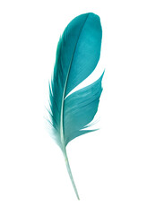 Wall Mural - feather color turquoise emerald green isolated on white background