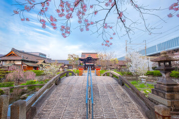 Poster - Rokusonno shrine built in 963, enshrines MInamota no Tsunemoto the 6th grandson of Emperor Seiwa. It's one of the best cherryblossom viewing spots in Kyoto
