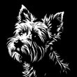 Yorkshire Terrier black and white dog, cutout