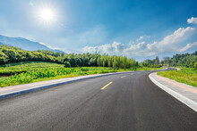 Country Road And Green Forest With Mountain Natural Landscape On A Sunny Day
