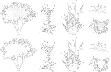 Plant elevation line silhouettes outline - grass, shrub, tree