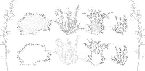 plant elevation line silhouettes outline - grass, shrub, tree