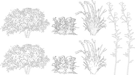 Plant elevation line silhouettes outline - grass, shrub, tree