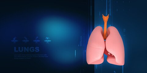 3d illustration Healthy Human Lungs 
