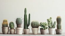 A Row Of Potted Cacti Sitting On Top Of A Wooden Table Next To Each Other In Front Of A White Wall.
