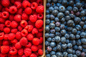 Wall Mural - Blueberries and raspberries background