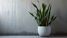  A Potted Plant Sitting On Top Of A Tile Floor Next To A White Vase With A Green Plant In It.