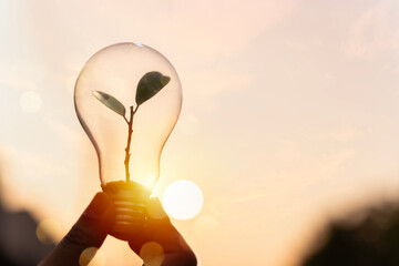 Wall Mural - a person is holding a light bulb with a plant growing out of it. the person is standing in front of 
