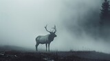 Fototapeta  -  a large elk standing on top of a grass covered field next to a forest in the middle of a foggy day.