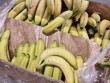 frische Bananen - Musa