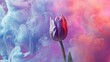  a red and purple tulip sitting in front of a blue and pink cloud of smoke on a pink and purple background.