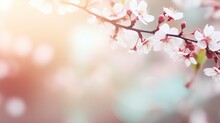 Spring Background Blur,holiday Wallpaper. - Generative Ai