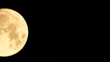 Wall Mural - A glowing golden huge full moon seen from earth through the atmosphere against a starry night sky. A large full moon moves across the sky, the moon moving from the left frame to the right.