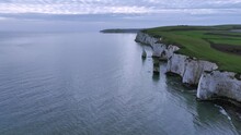 Flying Off Shore From The White Chalk Cliffs Of Old Harry Rocks, Near Studland, Dorset