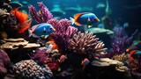 Fototapeta Do akwarium - a beautiful photo of a aquarium with fishes and corals