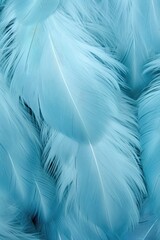 Wall Mural - Beautiful multicolour feathers background in pastel blue colors. Closeup image of colorful fluffy feather. Minimal abstract composition with place for text. Copy space