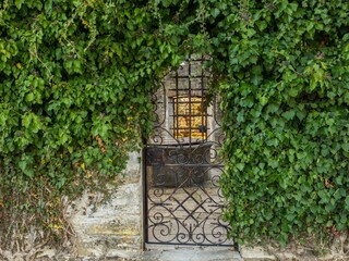 Wall Mural - rural