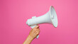 © Emon - White Megaphone in woman hands isolated on a pink background generated by ai