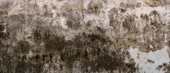 Wall Mural - Wall concrete background. Old cement texture cracked, White, Grey vintage wallpaper abstract grunge background