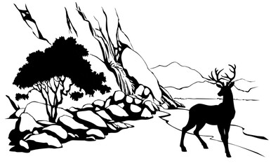 Poster - Vector landscape. Deer near a mountain stream