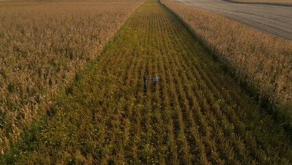 Wall Mural - Aerial view of two farmers in soy field making agreement with handshake before harvest at sunset.