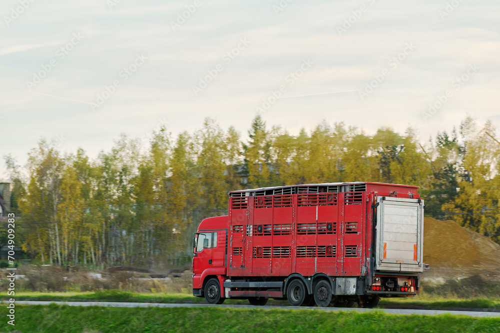 A livestock truck carries caged farm animals on a highway in Europe ...