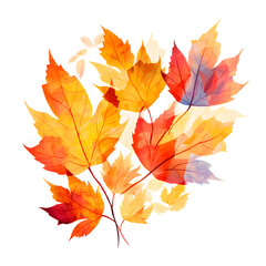 Canvas Print - Watercolor autumn leaves  isolated on white background