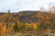 Landschaftsfotografie von einem in Herbstfarben erstrahlenden Berg in Norwegen, Skandinavien. 