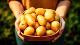 Fototapeta Dmuchawce - A man holding a box with fresh potatoes. Healthy eating concept. AI generated