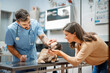 © ivanko80 - Cute french bulldog is being examined by the young veterinarian