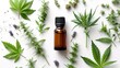 © tilialucida - A bottle of essential oil surrounded by cannabis plants.