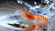 Red krill crustacean in clean blue water, macro. Source of omega-3 fatty acids.