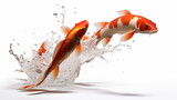 Koi fish in water Isolated on a white background. AI Generative.
