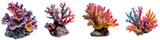 Fototapeta Fototapety do akwarium - Set of Colorful Coral Reefs Isolated on Transparent Background